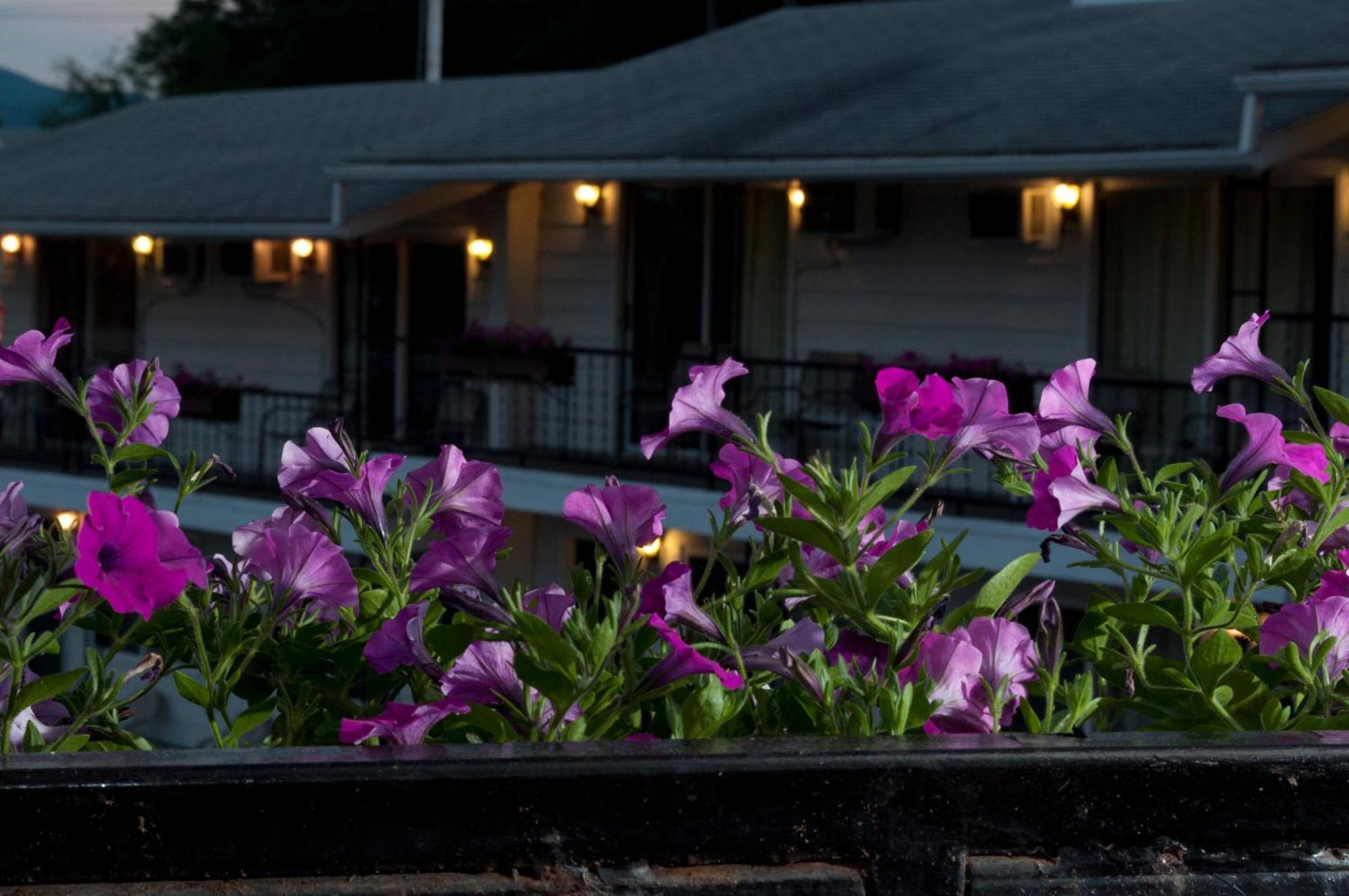 The Lake George Inn Exterior foto